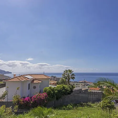 Botanica - By Wehost * Funchal (Madeira)