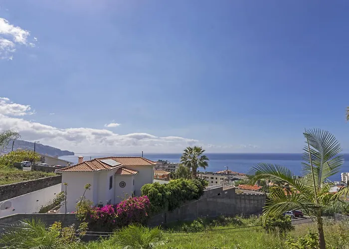 Botanica - By Wehost * Funchal (Madeira)